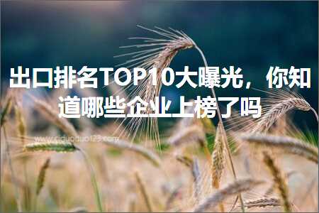 跨境电商知识:出口排名TOP10大曝光，你知道哪些企业上榜了吗